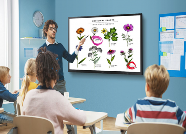 Pantalla Interactiva Touch de 75" con Lápiz Táctil - Imagen 3