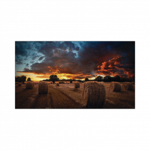 Pantalla Profesional LED SAMSUNG de 46" para Video Wall