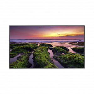 Pantalla Profesional SAMSUNG de 55" UHD 4K (3840x2160p)