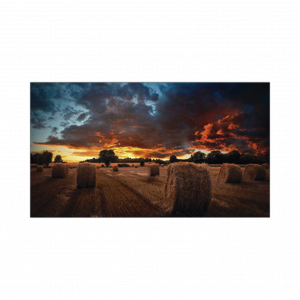 Pantalla Profesional LED SAMSUNG de 55" para Video Wall