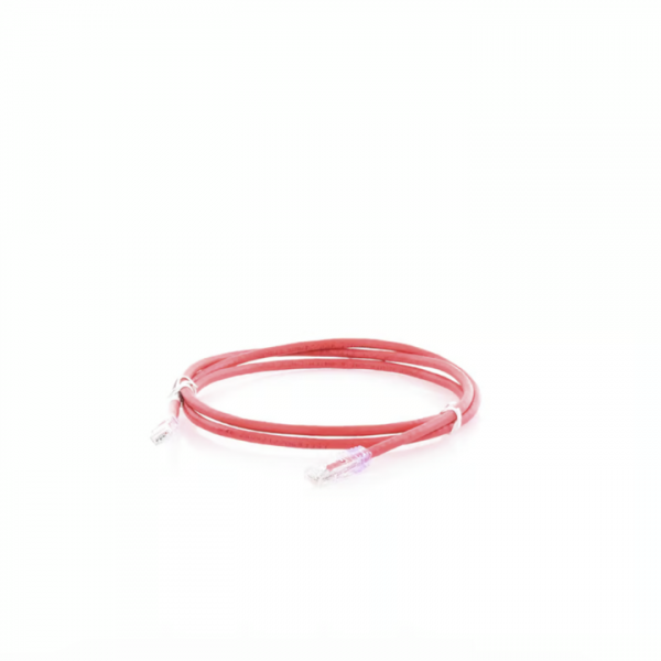 Cable de Parcheo PANDUIT UTP Categoría 6 con plug modular en cada extremo, 1.5 metros, Color Rojo - Imagen 2