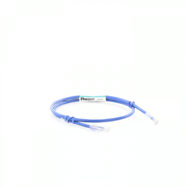 Cable de parcheo PANDUIT UTP Categoría 6, con plug modular en cada extremo, 1 metro, color Azul - Imagen 2
